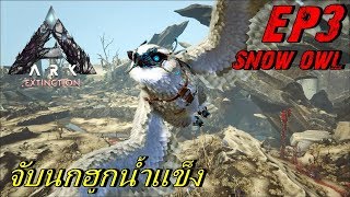 BGZ  ARK Extinction EP3 จับนกฮุกน้ำเเข็ง Tame Snow Owl [upl. by Statis893]