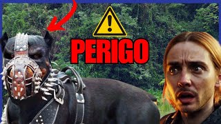 TOP 10 Cachorros Mais Inteligentes e Perigosos do MUNDO [upl. by Orfinger]