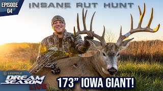 Iowa Booner Snort Wheezed Into 8 Yards  Hunting The Rut  Dream Season Live [upl. by Erl35]