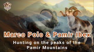 Hunting on the peaks of the Pamir Mountains Marco Polo sheep and Pamir Ibex [upl. by Anileve]