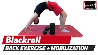 BLACKROLL  Just awesome to EASE BACK PAIN [upl. by Doykos]