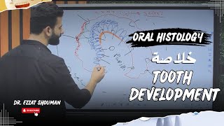 tooth development كامل  oral histology  عزت شومان [upl. by Servetnick]