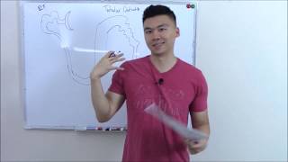 USMLE Renal 5 Nephron Tubular Defects [upl. by Horick891]