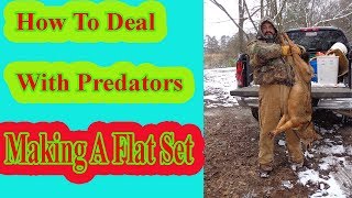 How To Deal With Predators Making A Flat Set [upl. by Free136]