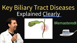 Key Biliary Tract  Cholestatic Diseases amp Labs Explained [upl. by Aihcila]