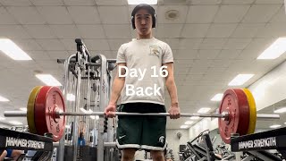 Day 16 Back [upl. by Sherwynd]