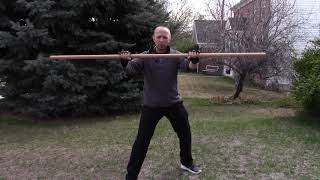 Quarterstaff Lesson 1  Introduction [upl. by Salahi130]