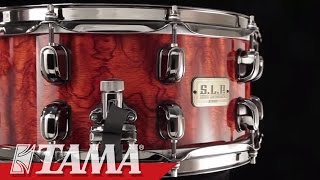 TAMA SLP GBubinga Snare Drum [upl. by Ecnahs]