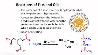 Fats Oils amp Fatty Acids │ Carboxylic Acids amp Derivatives │ Organic Chemistry [upl. by Ling577]