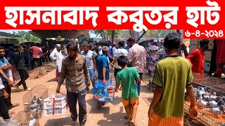 হাসনাবাদ কবুতর হাট২০২৪  kobutor hat 2024  pigeon market in bangladesh  Hasnabad kobutor hat [upl. by Maxantia]