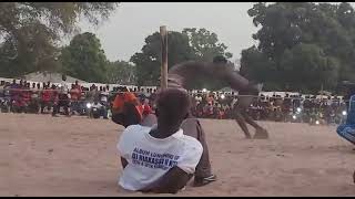 Lacrymogène Badiana bat Fils de Sam Sam Pape Mbaye Mampalago a Massara [upl. by Arabella304]