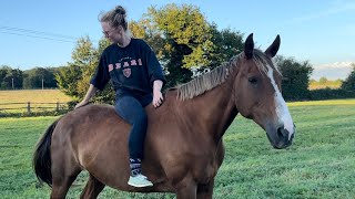 Riding Horses with Lauren Allport in NORMANDY France Vlogs Part 1 [upl. by Vivianne]