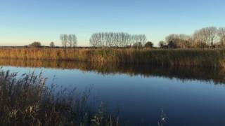 River Thurne Norfolk Broads Sunrise still morning water on the river Thurne and Womack Dyke [upl. by Ahsenal277]