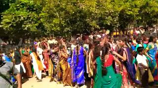 Annai College of art and Science Science samathuva pongal celebration 2019 [upl. by Rahr663]