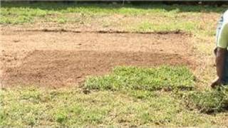 Grass amp Lawn Care  Zoysia Grass Planting Tips [upl. by Wynne]