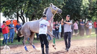 PROGRAMA CONECTE MAIS  COPA DO MUNDO DE CARAZINHORS BATEPAPO [upl. by Enirehtac]