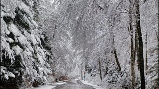 Froid hivernal la semaine prochaine ❄️🥶🌨️ [upl. by Ahsetal]