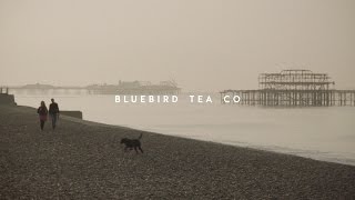 Zettle  The 12 Hour Store Bluebird Tea Co [upl. by Ocer]