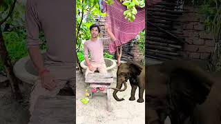 Hathi mera sathi vairal shors ytshorts vairalvideo [upl. by Enialedam912]