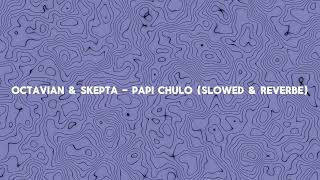 Octavian amp Skepta  Papi Chulo Slowed amp Reverbe [upl. by Sibby]