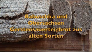 Sauerteigbrot aus alten Gertsensorten aus der Serie mit aussergewöhnlichen Getreiden Brot backen [upl. by Llyrehc]