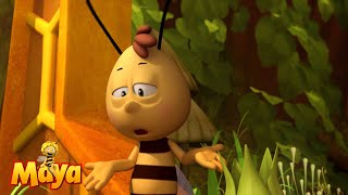 Oh no whats happening  Maya the Bee 🐝🍯🐝  FULL COMPILATION [upl. by Garlanda]