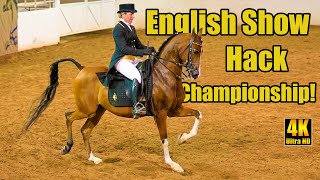 Purebred Arabian English Show Hack Championship at Region 7 Arabian Horse Show [upl. by Erolyat]