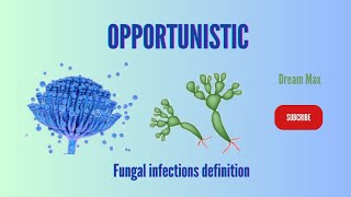 Opportunistic fungal infections definition  Dream Max [upl. by Warren]