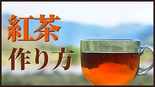 【紅茶生産者に聞いた】紅茶は品種よりコレが大切！ [upl. by Der]