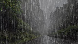 Lluvia Relajante Para Dormir y Descansar Profundamente en 6 minutos 💤 Lluvia en el Bosque Brumoso [upl. by Kerrie]