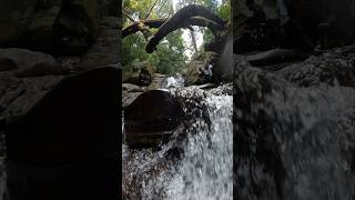 Bandaje Waterfalls Full Video👆🏻👆🏻  Waterfalls Dakshina Kannada  Karnataka Most beautiful ❤️ [upl. by Yacov]