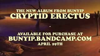 BUNYIP  On Tick Official Lyric Video [upl. by Ewall175]