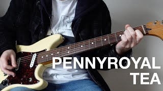 Nirvana  Pennyroyal Tea Guitar cover [upl. by Jorin]