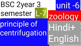 BSC 2nd year 3 semester zoology topic principle of centrifugation HindiEnglish [upl. by Lovato]