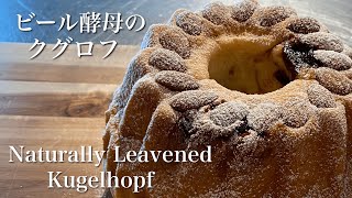 SUB ケーキの様なパン クグロフを自家製酵母で作る方法 クリスマスにも Easy Kugelhopf Naturally Leavened With Sweet Stiff Starter [upl. by Alimrahs]