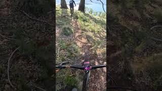 Crazy views incoming chile mtb mountainbiking [upl. by Ronalda]