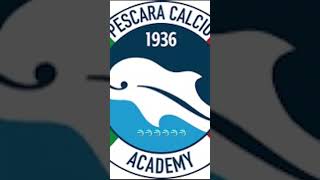 Pescara calcio [upl. by Ahsatniuq815]