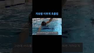 자유형 호흡 이쁘게 하는법 swimmingpool swim swimmingplayers swimpool 자유형 수영 수영강습 [upl. by Riamo]