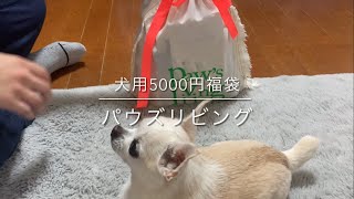 ペットの福袋2024開封してみた（ペット雑貨Paws living 5500円福袋） [upl. by Carlina]