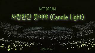 🎤NCT DREAM 사랑한단 뜻이야 Candle Light 콘서트 버전concert ver [upl. by Latsyrc686]