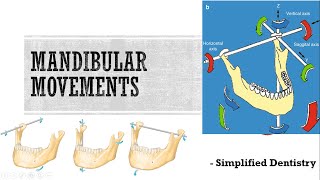 Mandibular Movements [upl. by Sucramd]