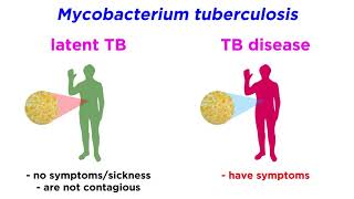 MultidrugResistant Tuberculosis MDRTB Mycobacterium tuberculosis [upl. by Gerri841]