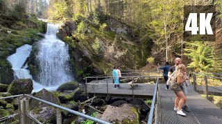 Ein Tag in Schwarzwald Black Forest Triberger Wasserfall  Top Reiseziele in Deutschland [upl. by Rozamond]