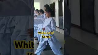 White belts karate budokarate shotokan martialarts karatedo [upl. by Anitnatsnok370]