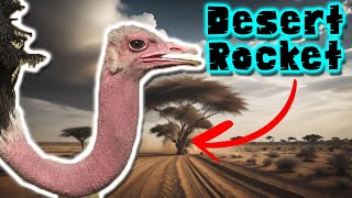 ostrich the fastest runner in the bird world  animal documentary [upl. by Riatsala927]