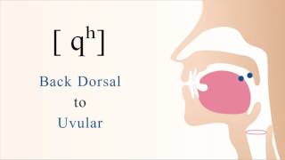 qʰ  unvoiced aspirated back dorsal uvular stop [upl. by Alyakem329]