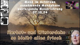 MondTIPP  so bleibt deine Herbst und Winterdeko lange frisch [upl. by Mandie]