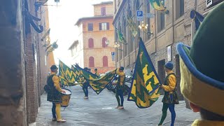 quotGet Ready for Siena Palio 2024 August 16th Spectaclequot [upl. by Adnovahs]