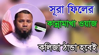 Bangla Waz 2017 Maulana Sharifuzzaman Rajibpuri New Bangla Islamic Waz 2017 [upl. by Haonam929]