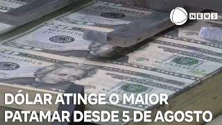 Dólar atinge o maior patamar desde 5 de agosto [upl. by Glynas]